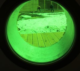 Zelená fólie s efektem probarveného skla v mateřské školce.